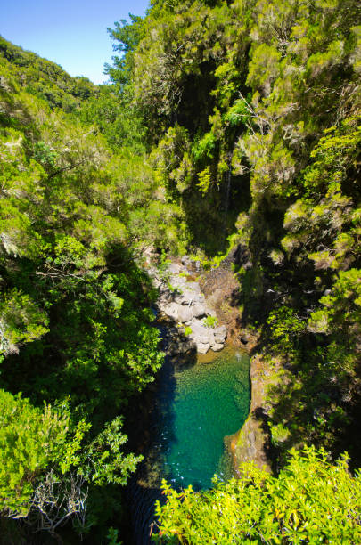 istock Stream in the forest, Madeira, Portugal 962668462