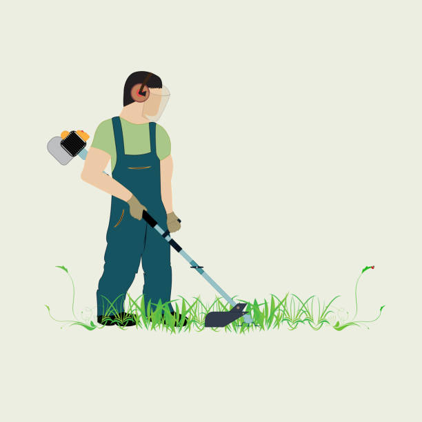 Man and lawn mower A man with a trimmer cuts grass on a white background. A man in overalls cuts grass with a trimmer. Worker cutting grass in garden with the weed trimmer. lawn mower clip art stock illustrations