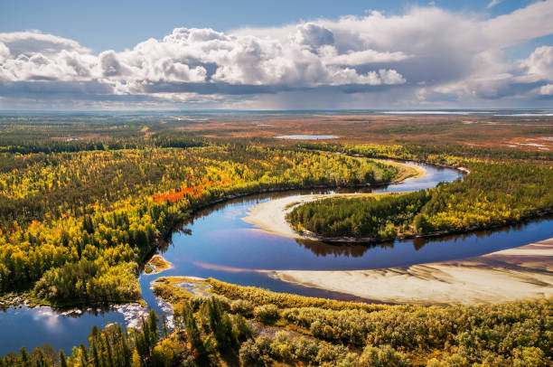 Autumn, Taiga, Western Siberia Top view stock photo