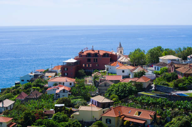 Sea Garden on Madeira island, Madeira stock photo
