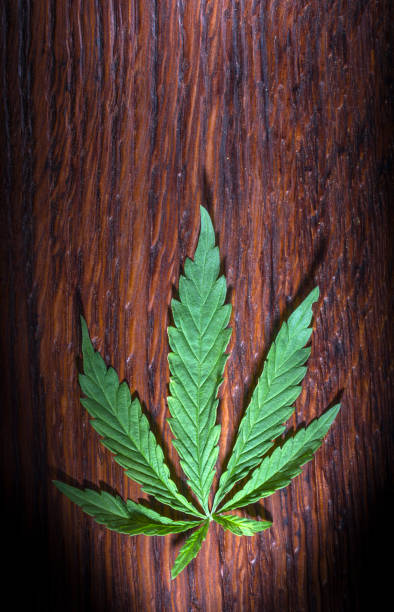 istock A hemp sheet on a Brown wooden background 962689190