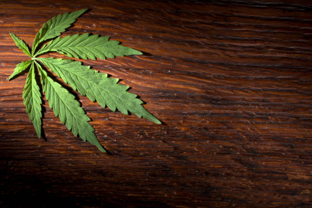 istock A hemp sheet on a Brown wooden background 962689264