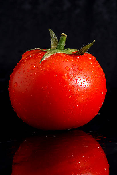 Fresh healthy red tomato stock photo
