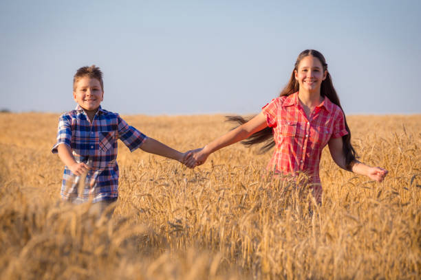 girl and boy running on field with ripe wheat - wheat freedom abundance human hand imagens e fotografias de stock