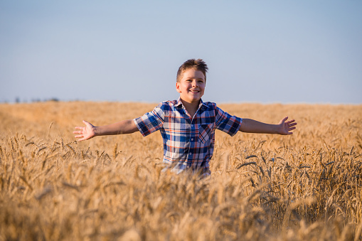 Happy young boy running on field with ripe wheat at sunny day