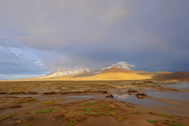 magnifique paysage de la polloquere de sources d’eau chaude à l’aube, lac salé salar de surire, parc national du volcan isluga, chili - environmental conservation spring sun swimming pool photos et images de collection