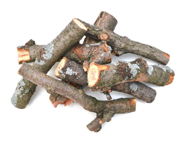 istock A pile of log branch tree on white 962706654