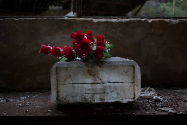 istock Plastic roses in an abandoned warehouse 962708990
