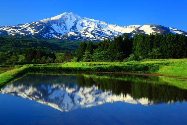 istock Fresh green Mt.Chokai 962720750