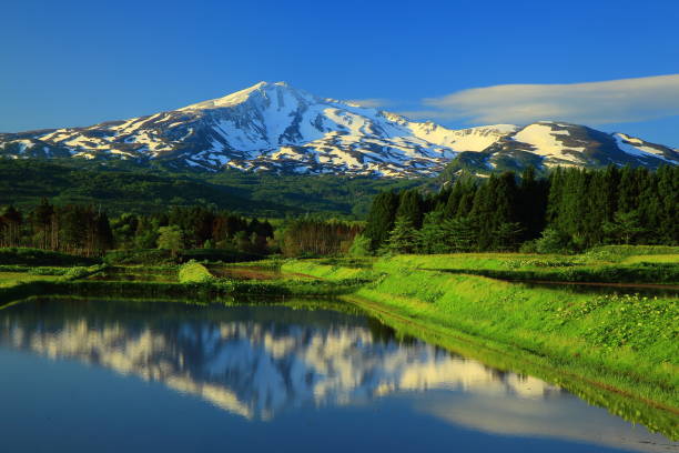 istock Fresh green Mt.Chokai 962721066