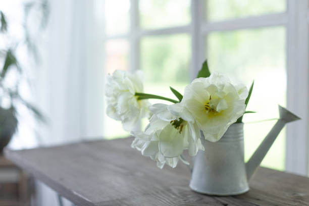 istock Tulips in a vase. 962721160
