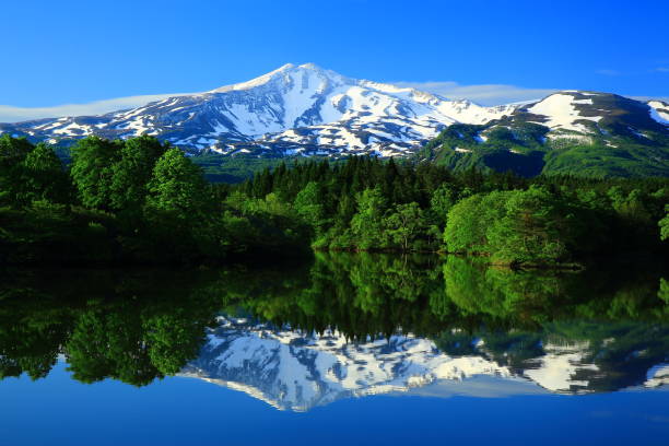 istock Fresh green Mt.Chokai 962721488