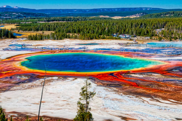 Grand Prismatic Spring The most famous hot spring in the World, Grand Prismatic Spring, viewed from the fairy falls trail in Yellowstone National Park midway geyser basin photos stock pictures, royalty-free photos & images