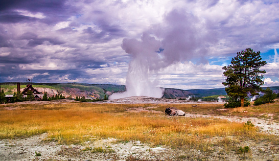 The world's most famous geyser, Old Faithful, remains true to name and erupts.
