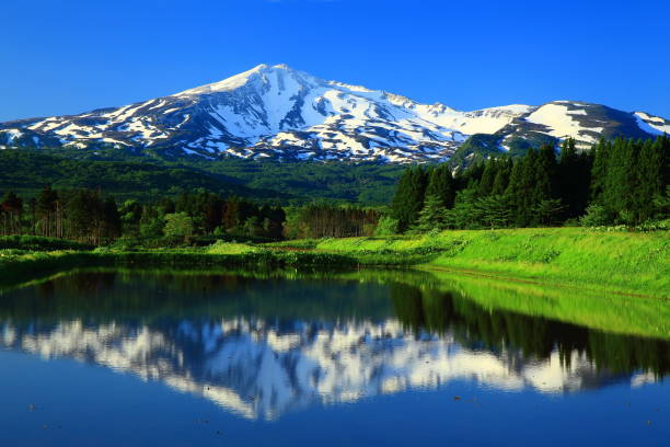 istock Fresh green Mt.Chokai 962722144