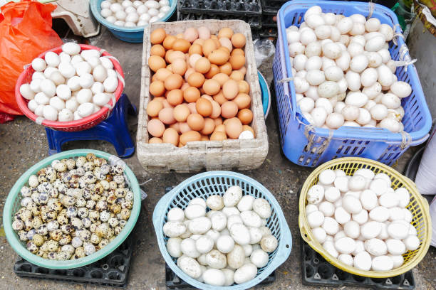 différents types d’oeufs vendant sur le marché du matin. - vietnam market asia bird photos et images de collection