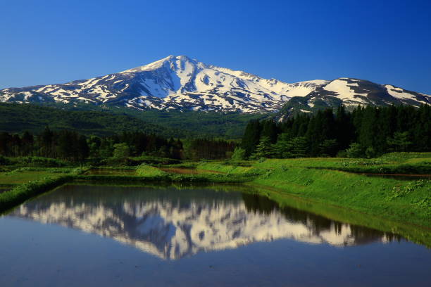 istock Fresh green Mt.Chokai 962731346