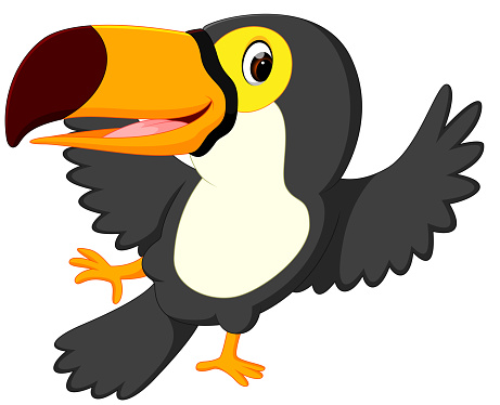 Cartoon Bird Toucan Dancing Stock Illustration - Download Image Now -  Animal, Animal Body Part, Animal Head - iStock