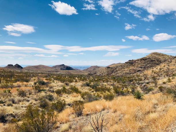 gran plano plegado - desierto chihuahua fotografías e imágenes de stock