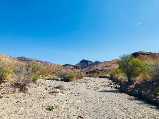 Dry Riverbed Trail in Big Bend dry riverbed stock pictures, royalty-free photos & images