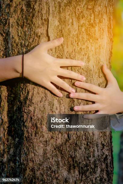 Foto de Mulher Mão Abraçar Florestas De Amor e mais fotos de stock de Abraçar - Abraçar, Adulto, Ambientalista