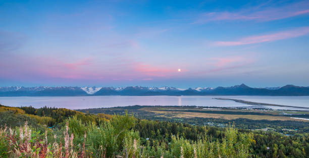 panorama homer spit, baia di kachemak, alaska - homer foto e immagini stock