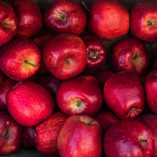 istock Fresh Red apples background. Autumn harvest concept. Free space for text . Top view