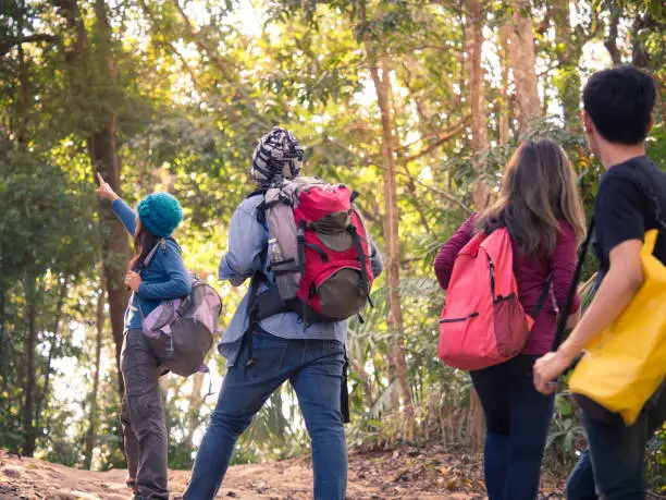 Group of young men/women walking on mountain for trekking/traveling/hiking in nature forest, backpack traveling for freedom lifestyle with relaxation life outdoor on vacation/holiday concept