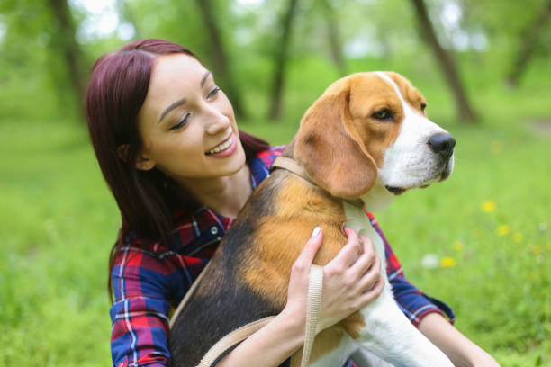 istock Woman with her pet 962756250