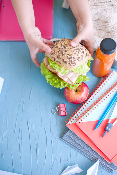 sandwich for school lunch, books. children's hands. place for text. from top view - child human hand sandwich lunch box imagens e fotografias de stock