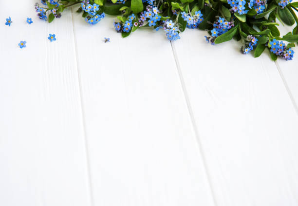 istock Forget-me-nots flowers border 962758738