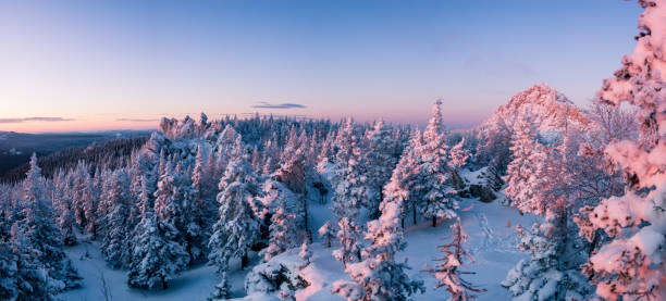 istock Snow-covered forest in the mountains at dawn. 962759364