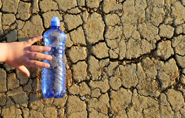 istock Child's hand reaches a bottle of water. 962759638