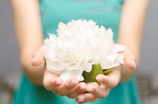 White flower in female hand. Young girl holding in arms white flower in front of herself.