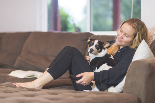 istock The Joy of Living with Pets 962765618