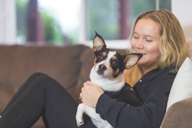 istock The Joy of Living with Pets 962765622