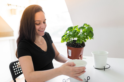 Young woman re-potting flower