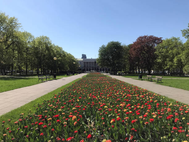 istock Warsaw on a sunny day 962771508