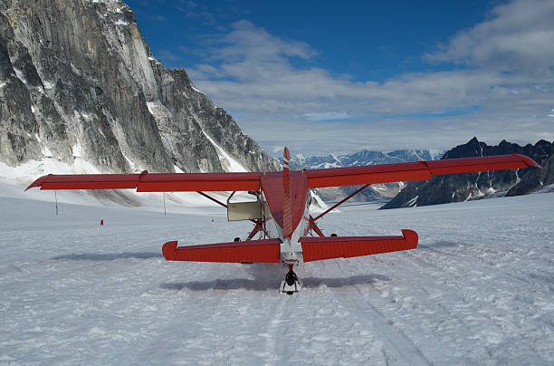 istock The Perfect landing on Pica Glacier 96277268