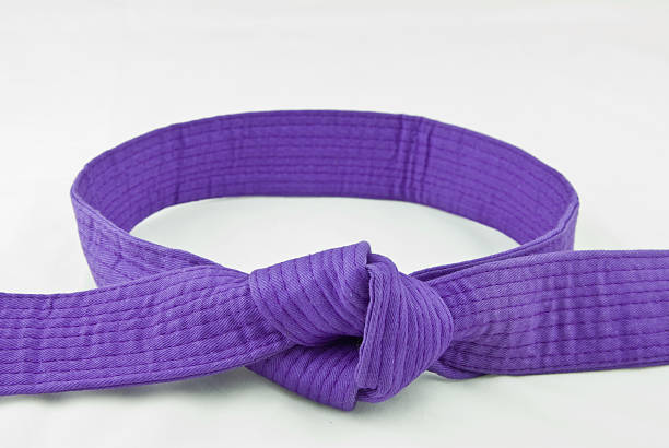 karate cintura viola - purple belt foto e immagini stock