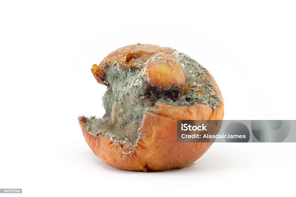 Rotten Apple - Foto stock royalty-free di Mela