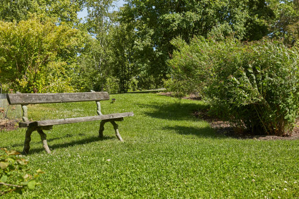 Resting bench in Kaisaniemi Botanic Garden in Helsinki, Finland