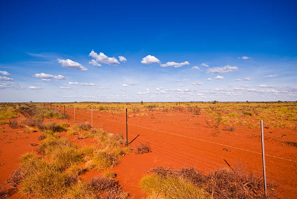 muro em pilbara - spinnifex - fotografias e filmes do acervo