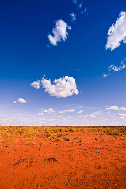 paisagem do cerrado australiano - spinnifex - fotografias e filmes do acervo