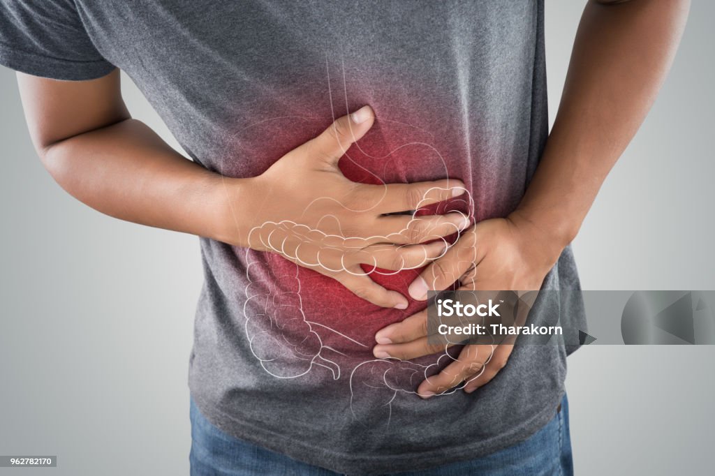 The photo of large intestine is on the man's body against gray background, People With Stomach ache problem concept, Male anatomy Intestine Stock Photo