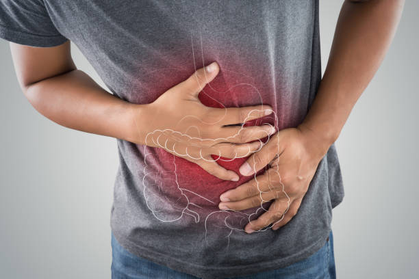 The photo of large intestine is on the man's body against gray background, People With Stomach ache problem concept, Male anatomy stock photo