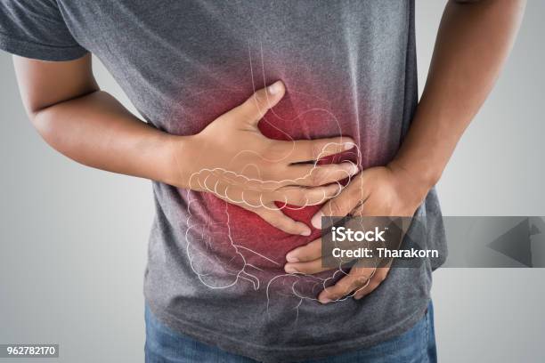 The Photo Of Large Intestine Is On The Mans Body Against Gray Background People With Stomach Ache Problem Concept Male Anatomy Stock Photo - Download Image Now