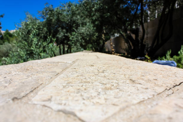 istock colors of Israel 962782752