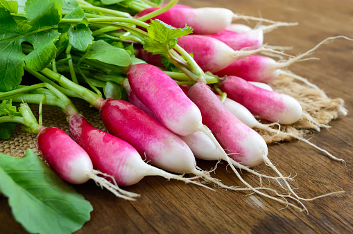 Summer harvested red radish. Growing organic vegetables. Large bunch of raw fresh juicy garden radish on wooden background ready to eat. Closeup.