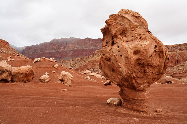 bizarre le rocher équilibré, de marble canyon, arizona - lee ferry photos et images de collection